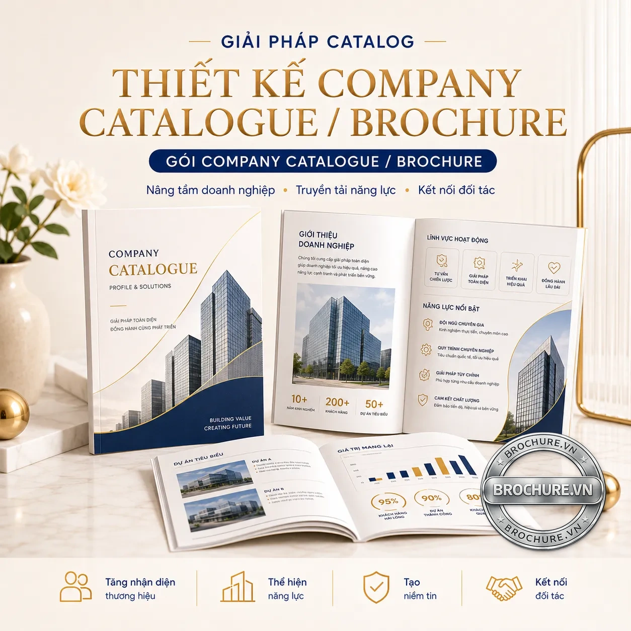 Thiết kế company catalogue brochure